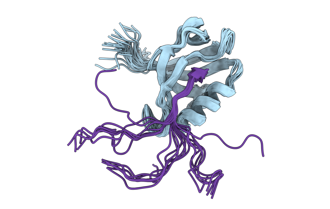 1D5G image