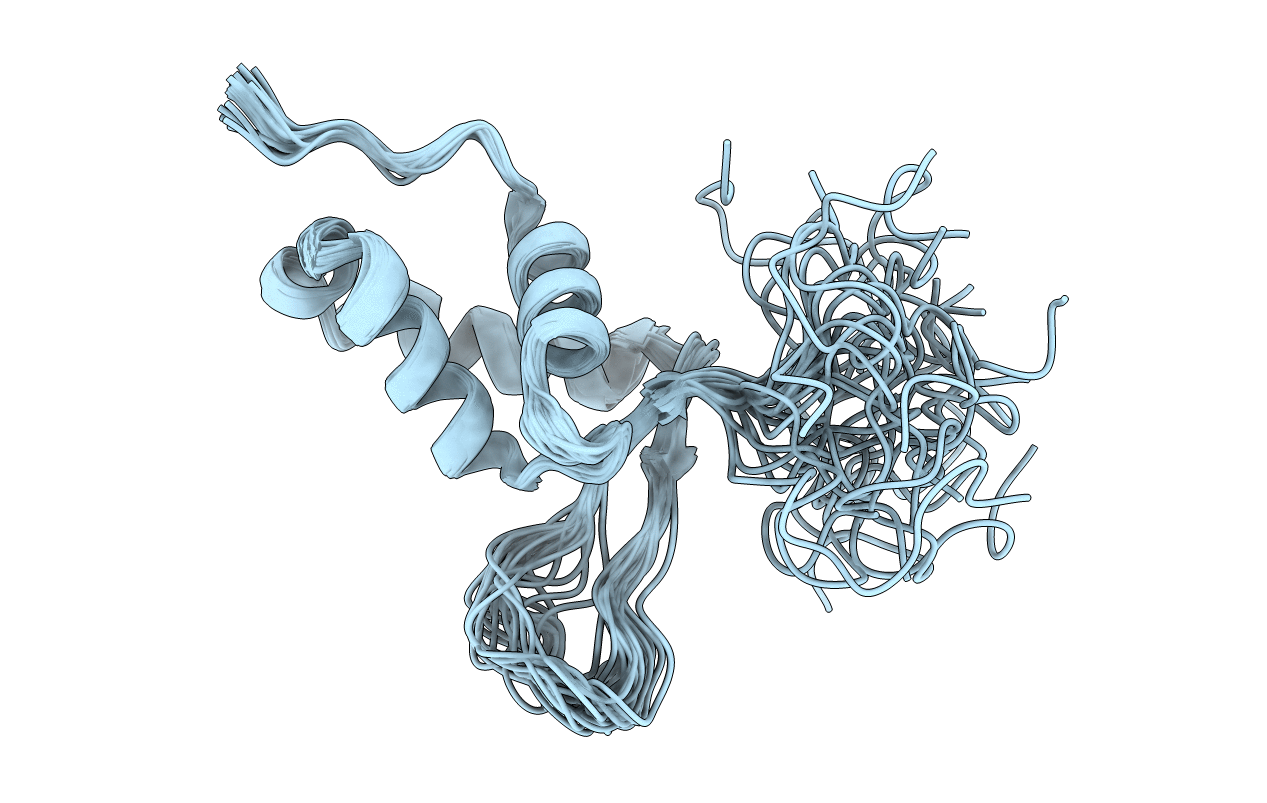 1D5V image