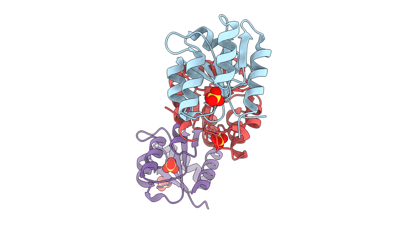 1D5W image