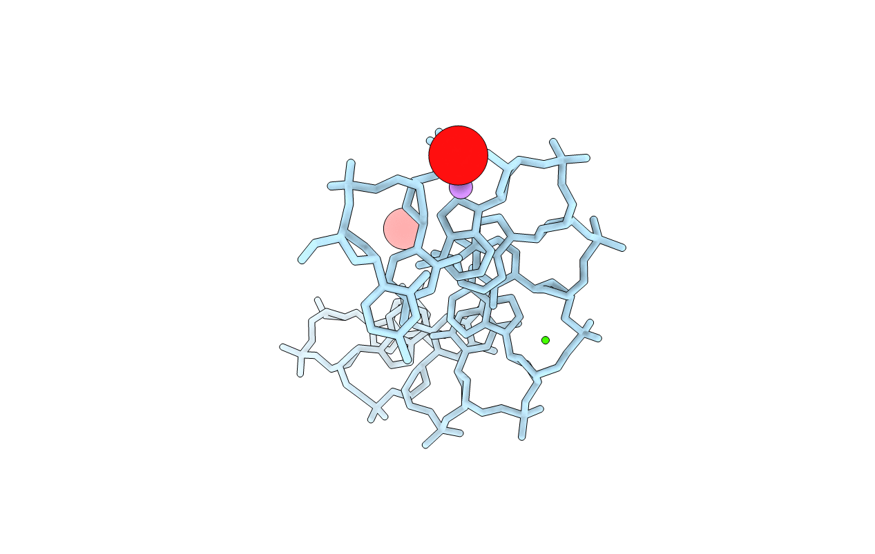 1D61 image