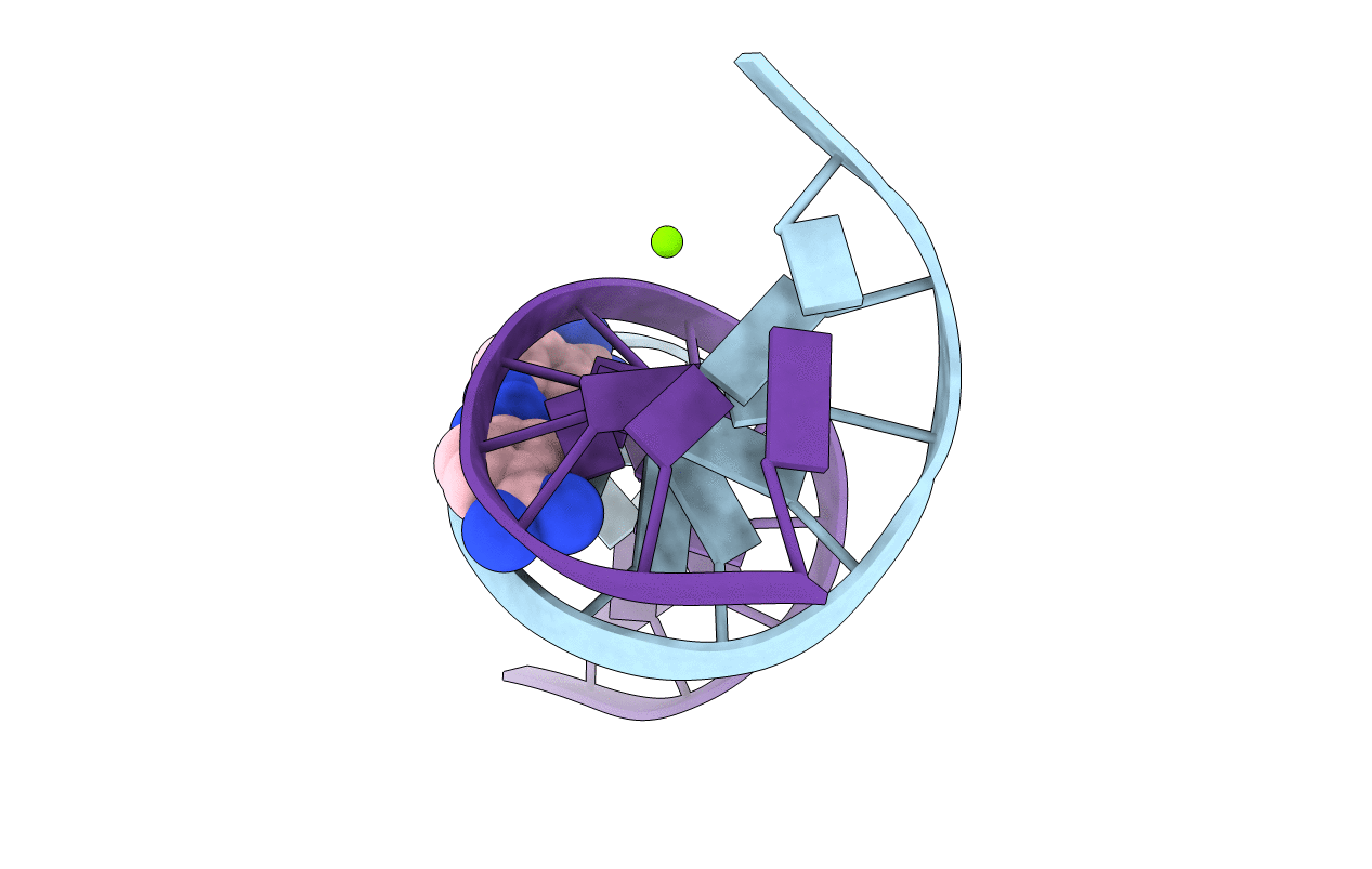 1D63 image