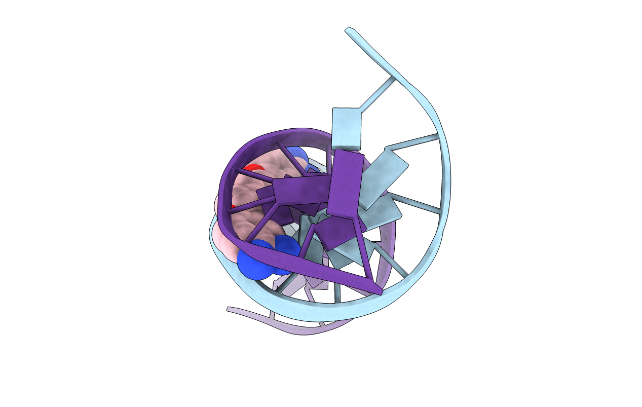 1D64 image