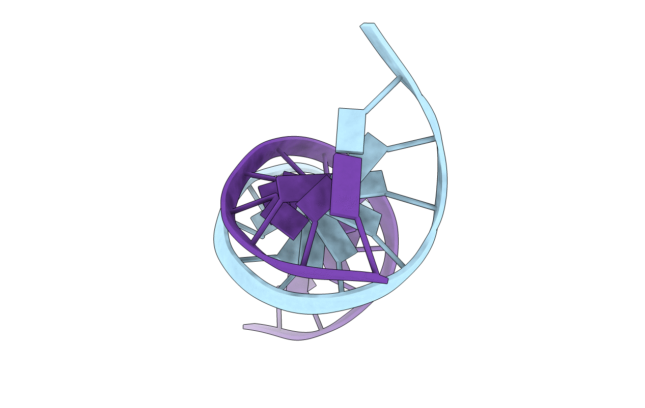1D65 image