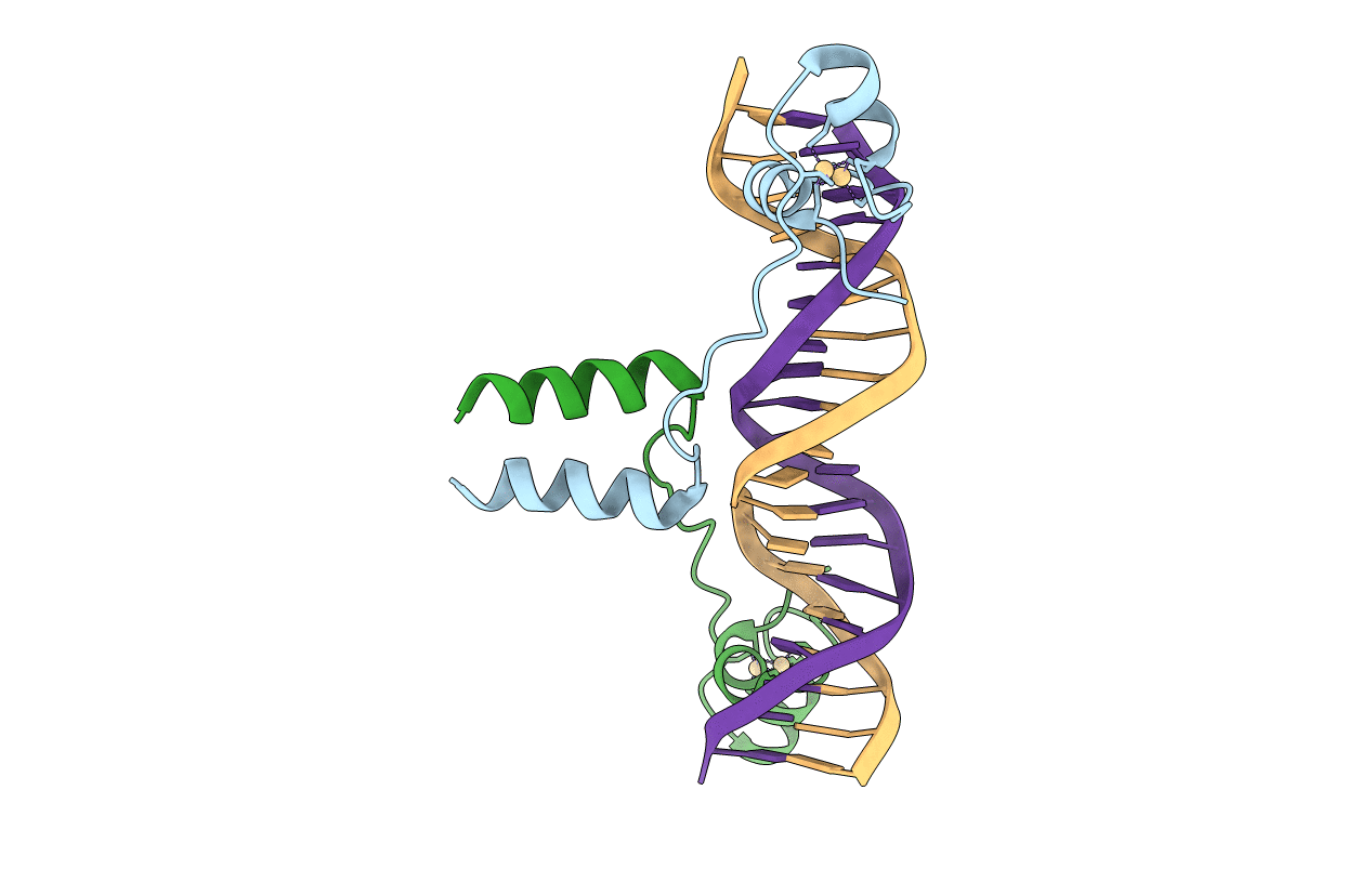 1D66 image