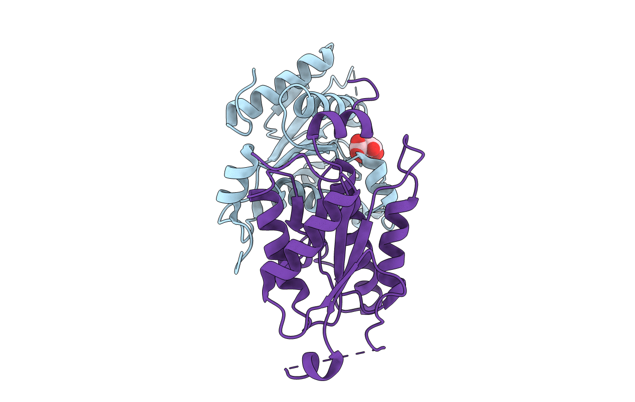 1D6J image