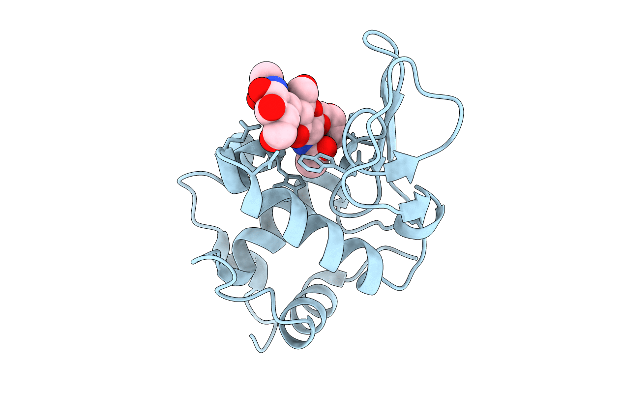 1D6P image