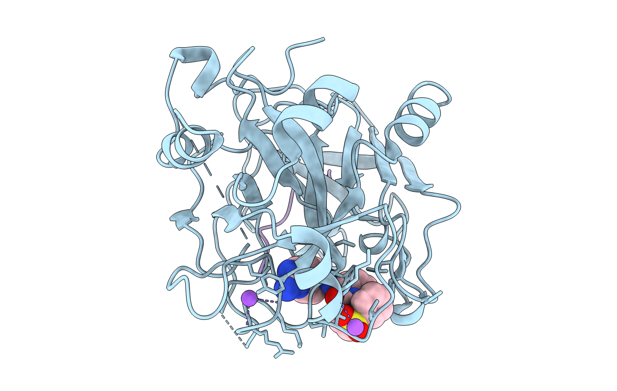 1D6W image