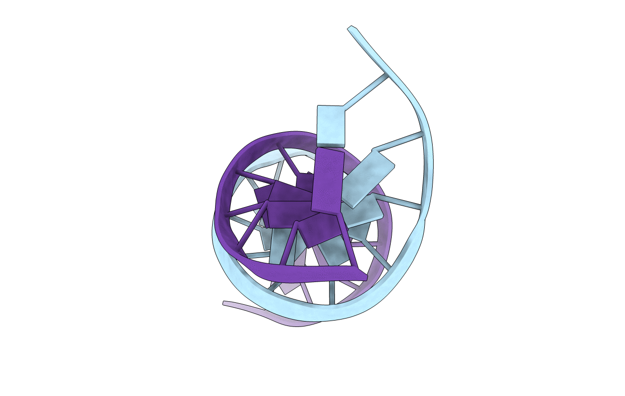1D77 image