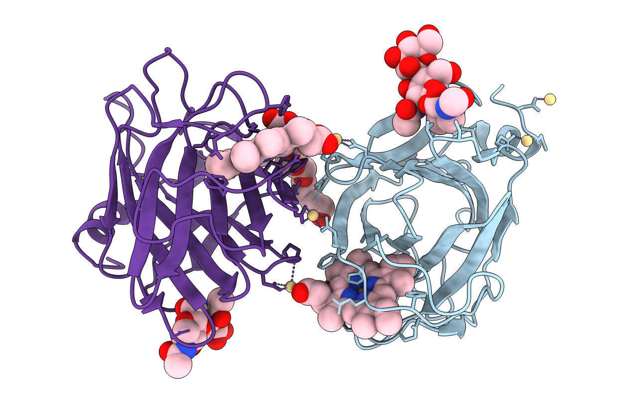 1D7C image
