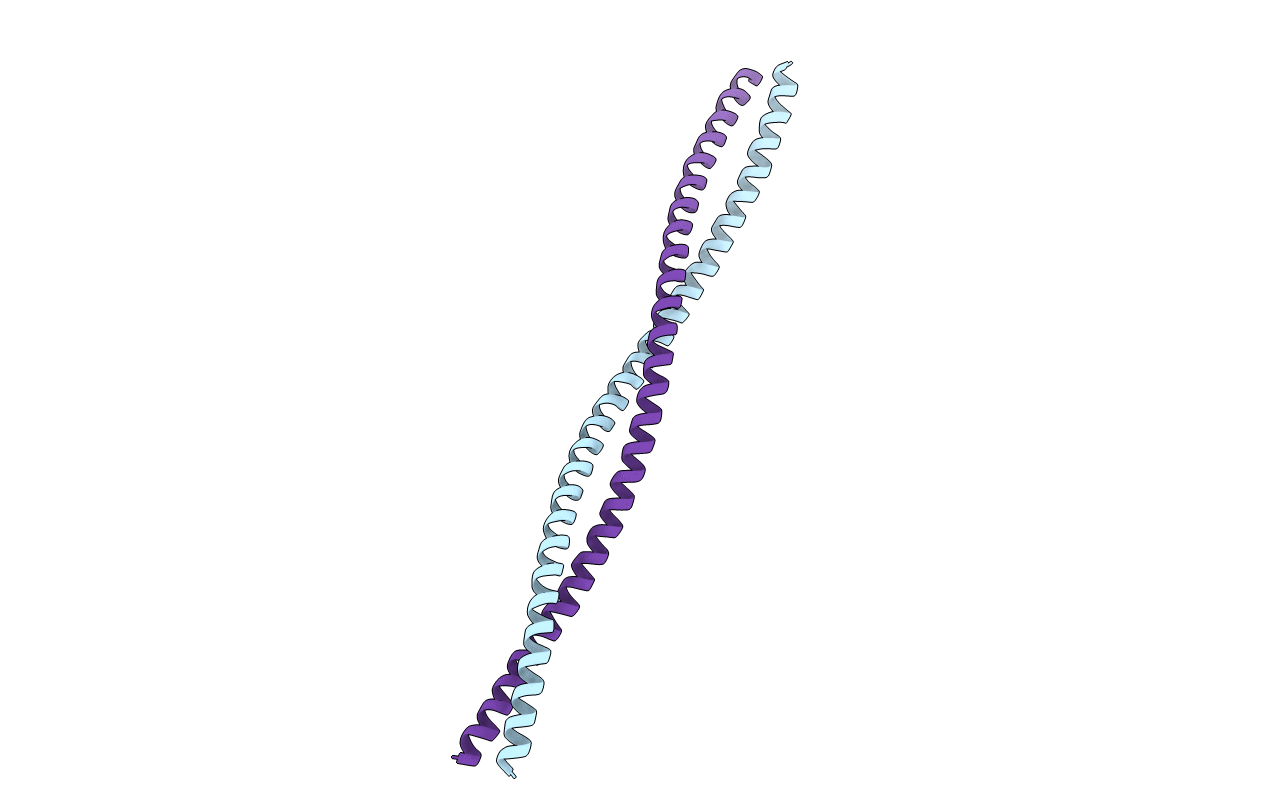 1D7M image