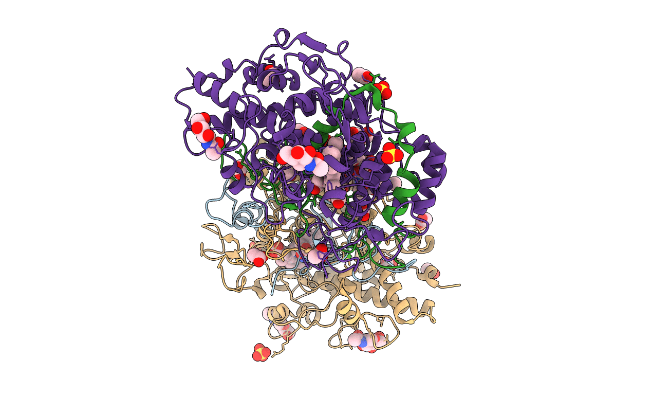 1D7W image