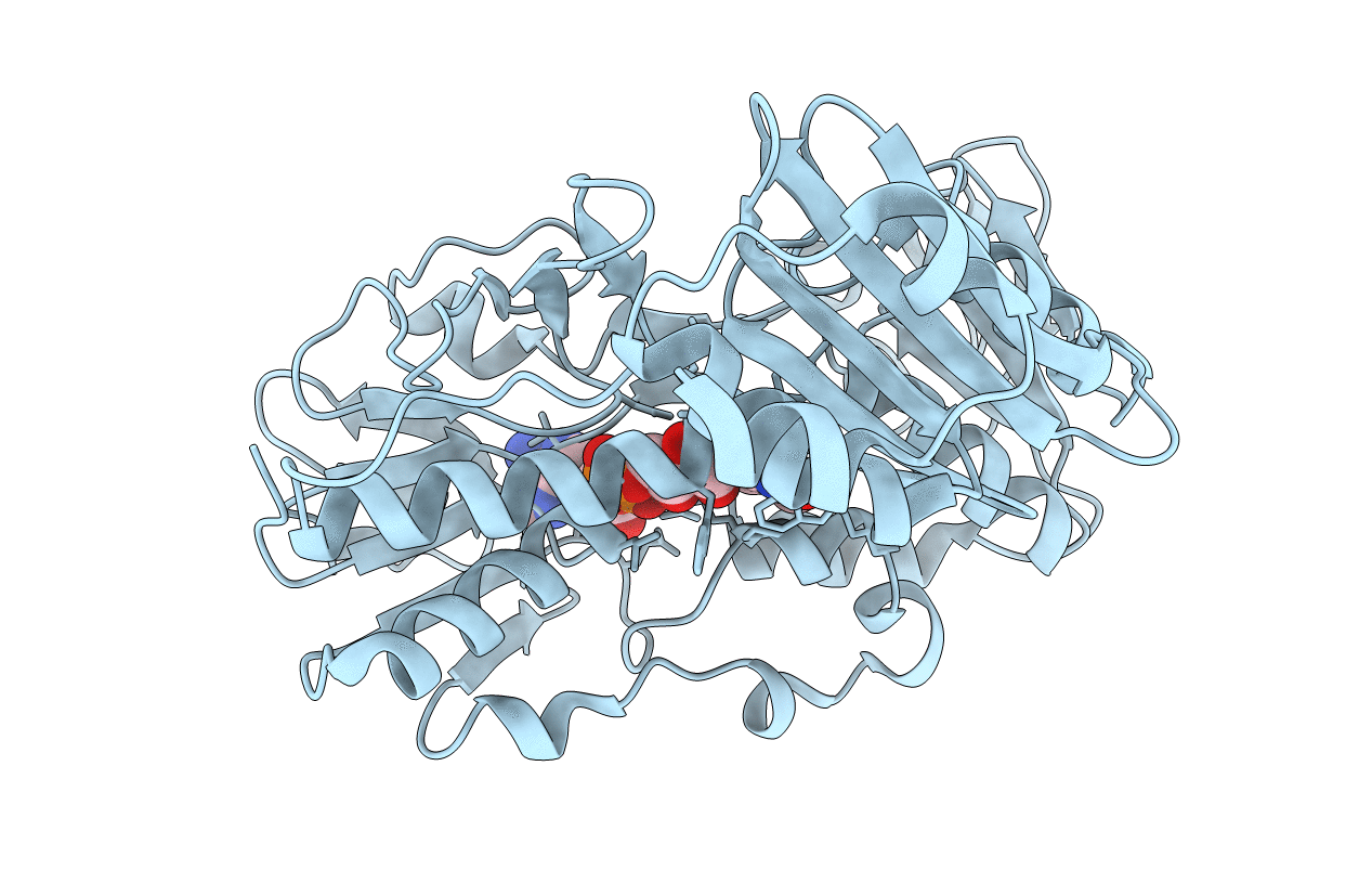 1D7Y image