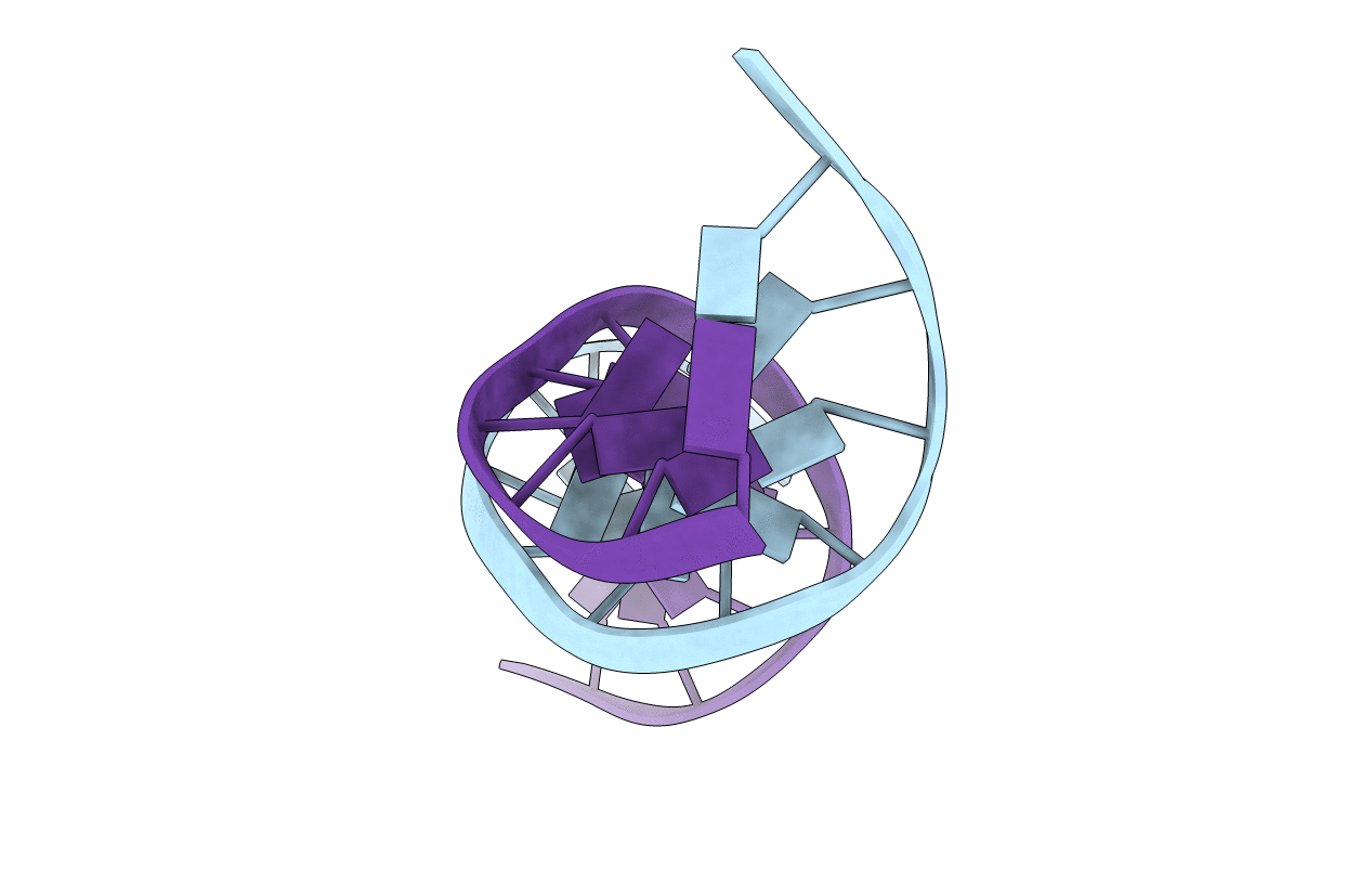 1D81 image