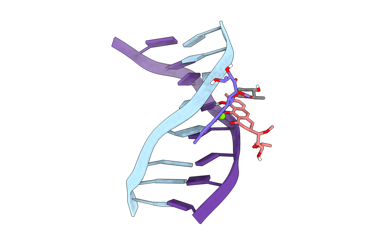 1D83 image