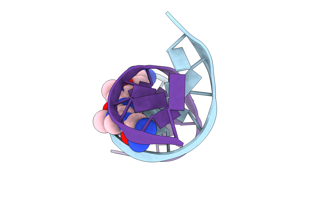 1D85 image