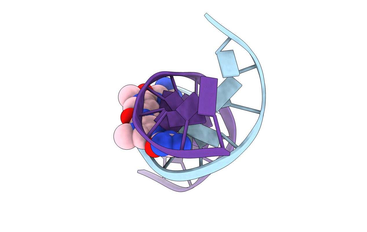 1D86 image