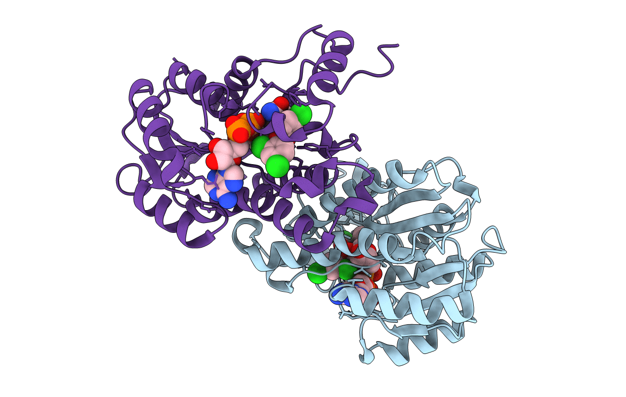 1D8A image