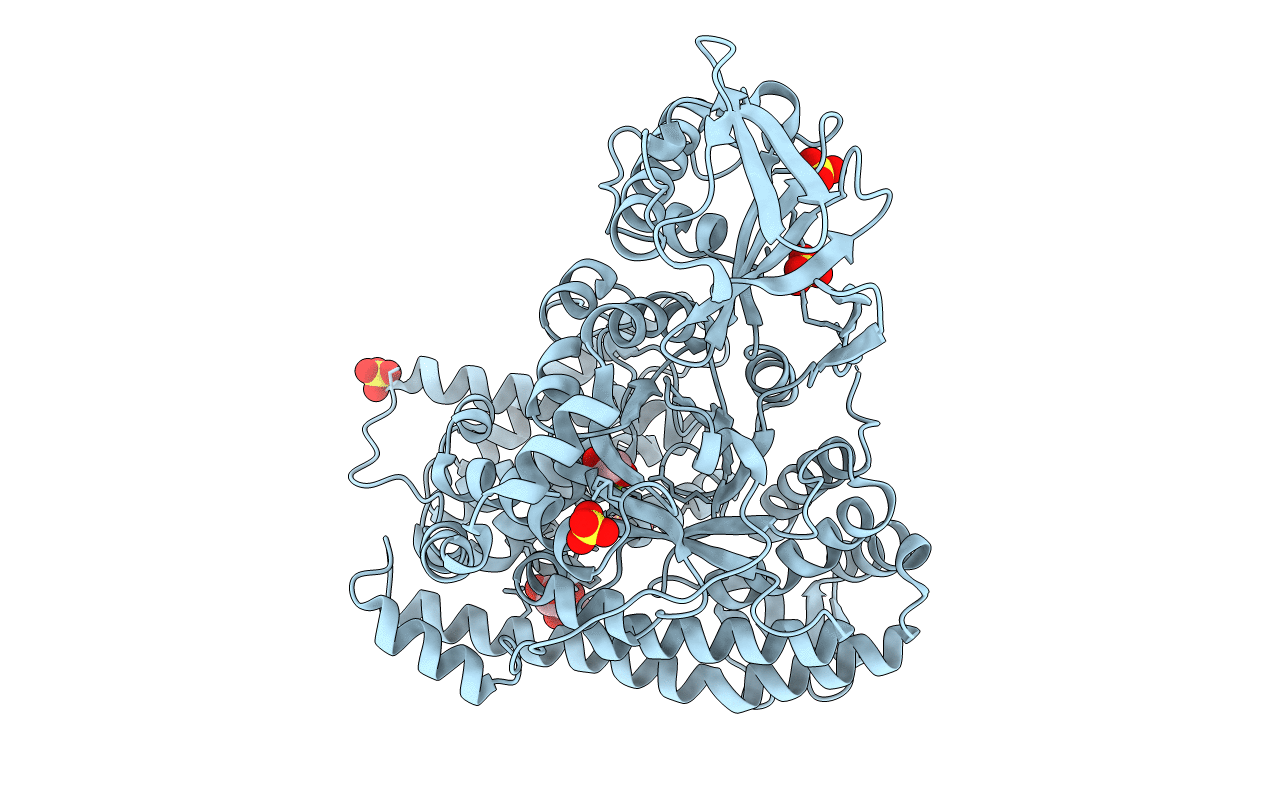 1D8C image