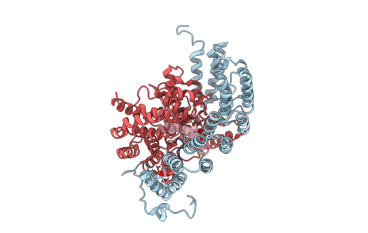 1d8e image