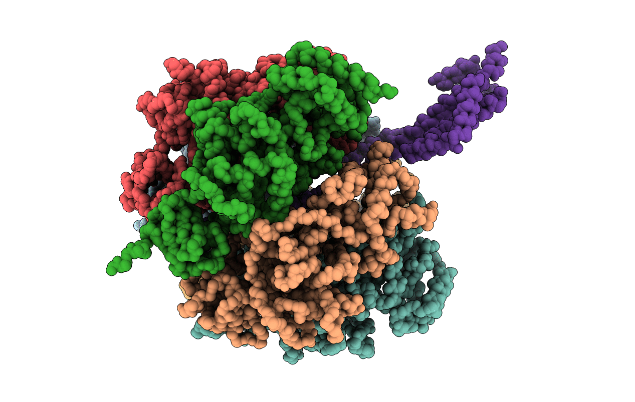 1D8S image