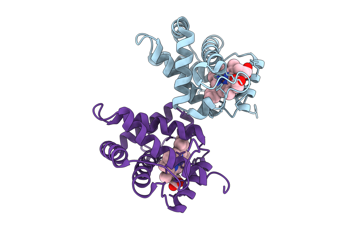1D8U image