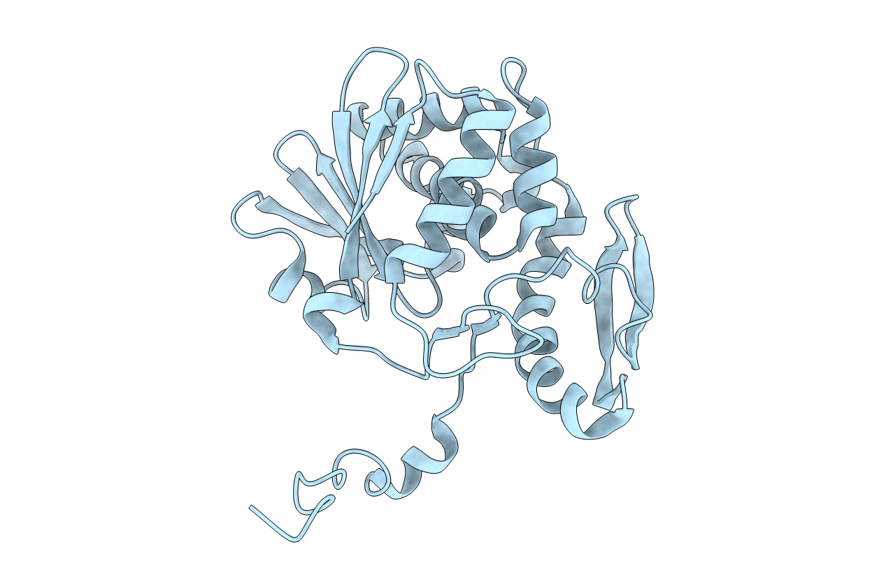1D8V image