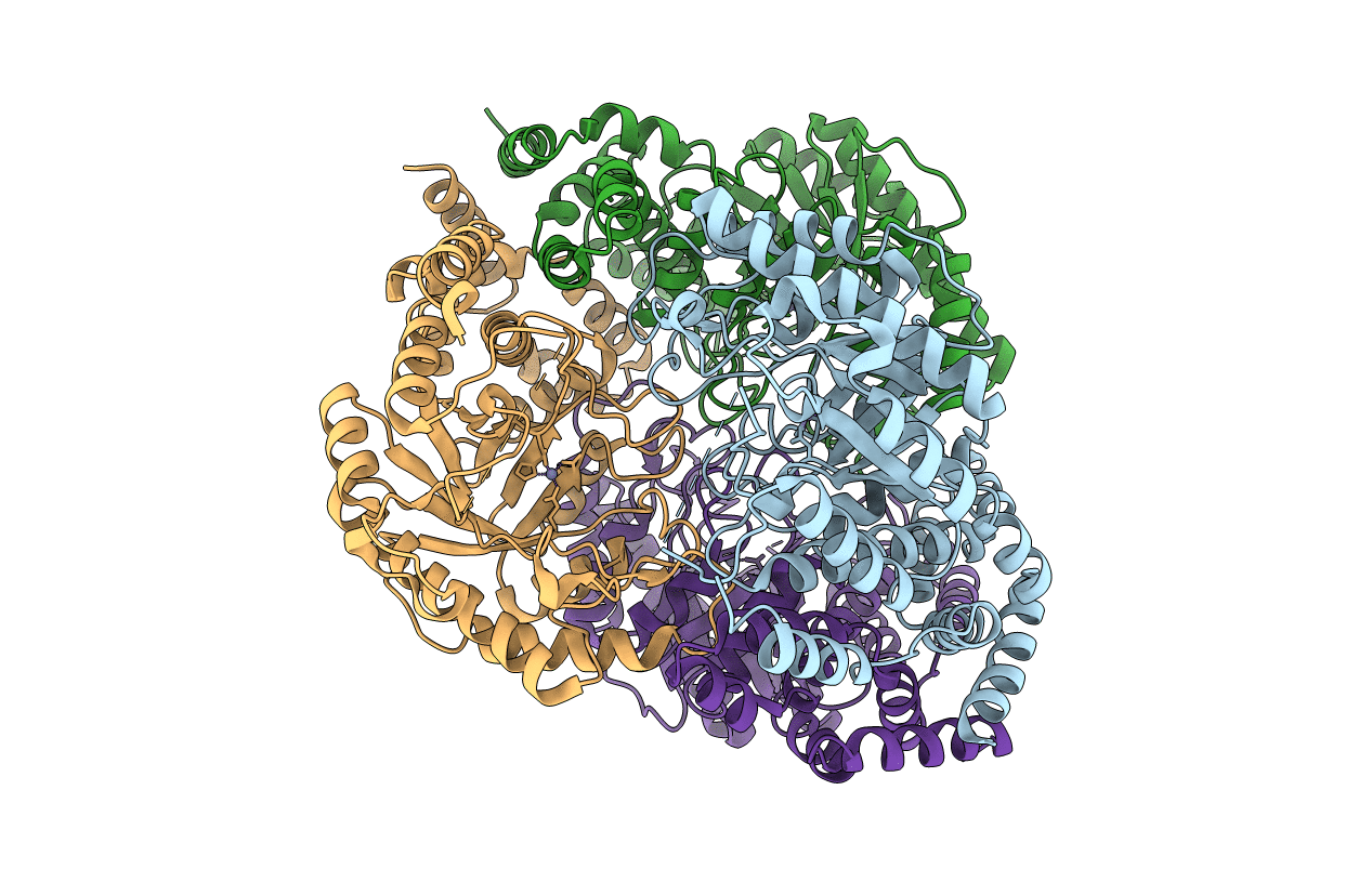 1D8W image
