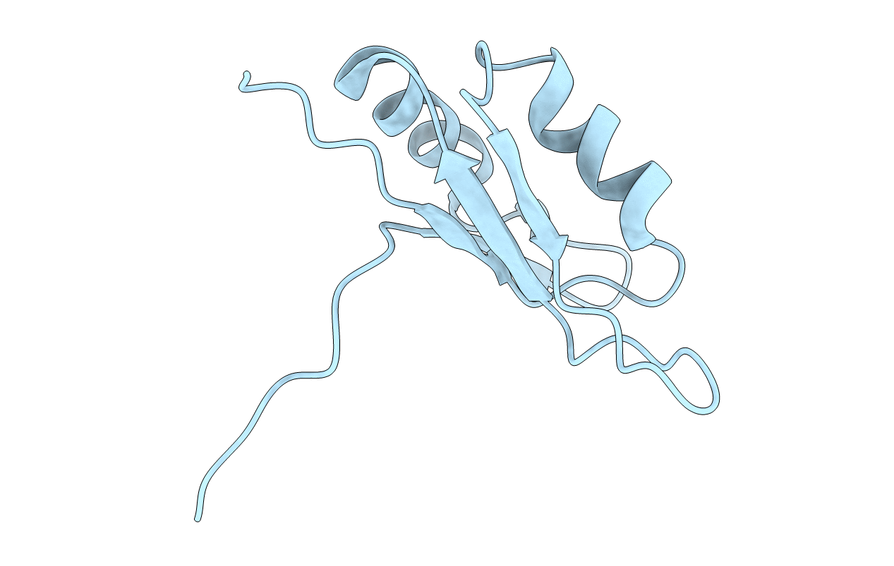 1D8Z image