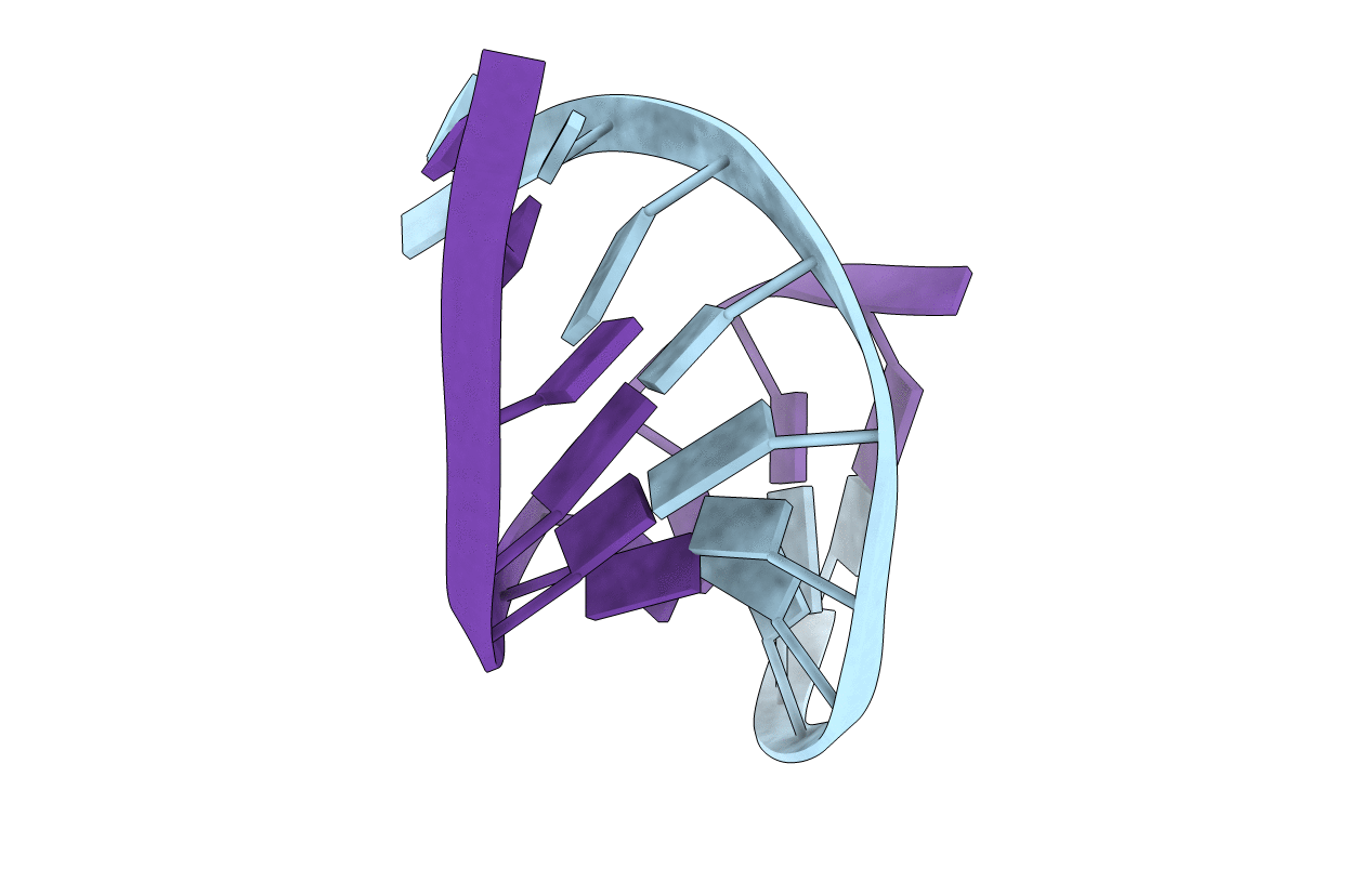 1D96 image