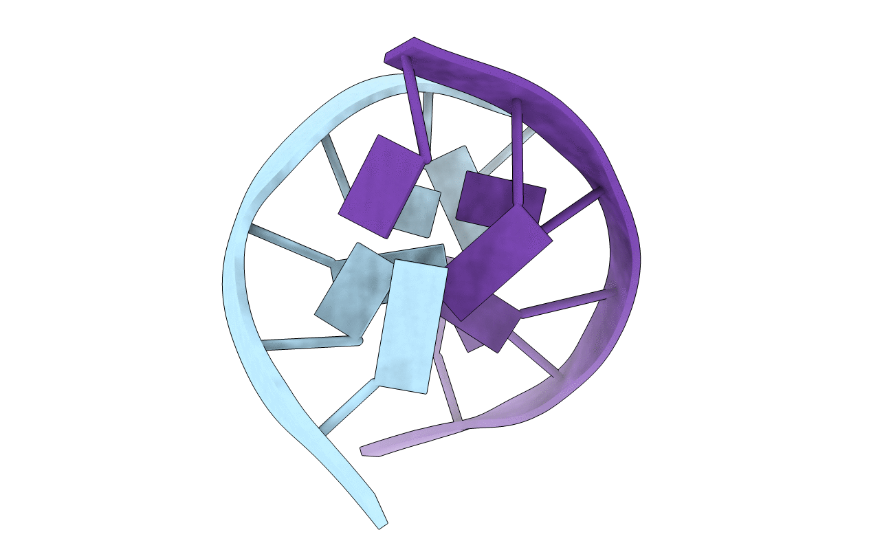 1D97 image