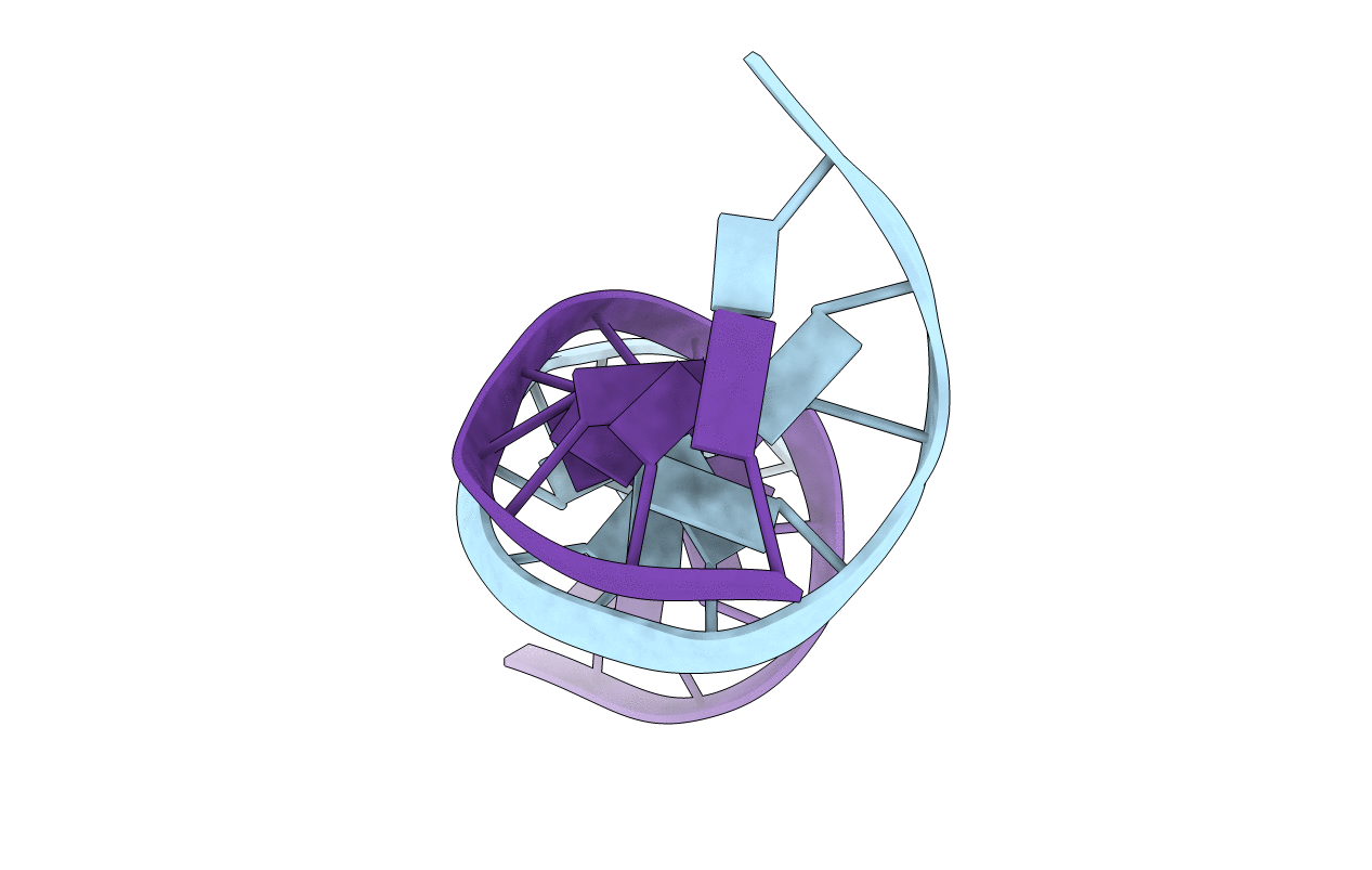 1D99 image