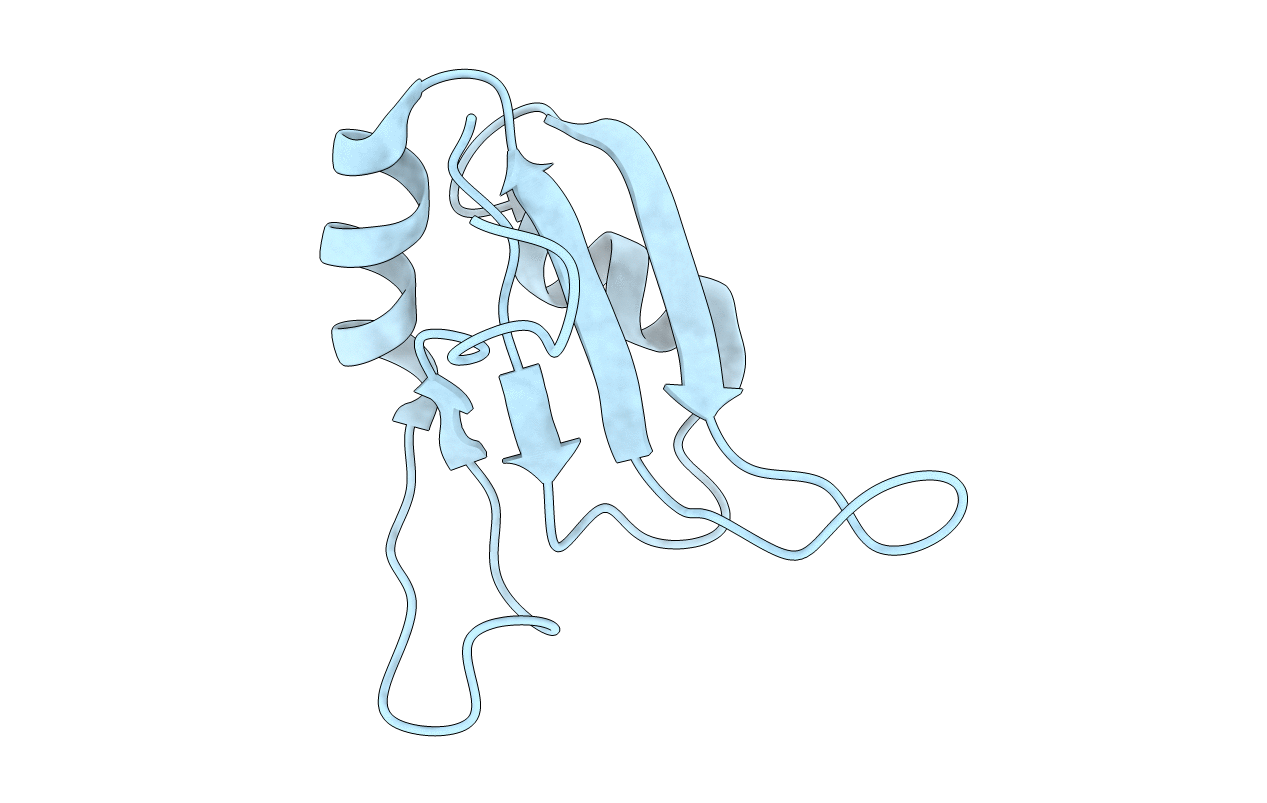 1D9A image