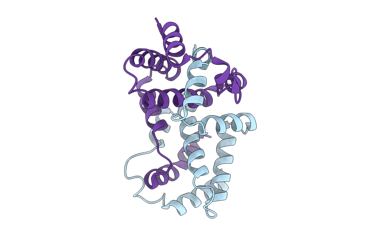 1D9C image