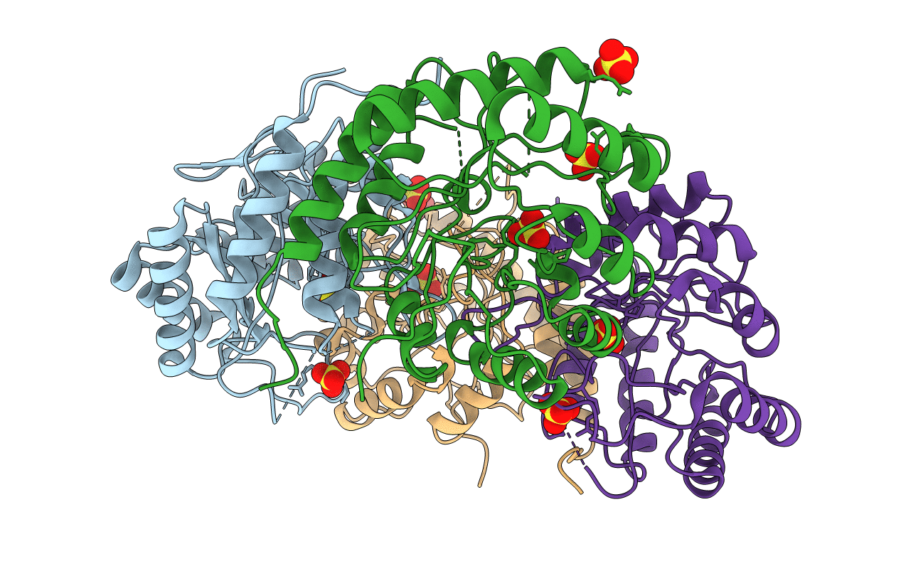 1D9E image