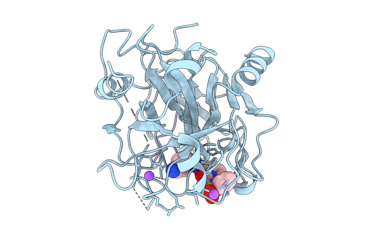 1D9I image