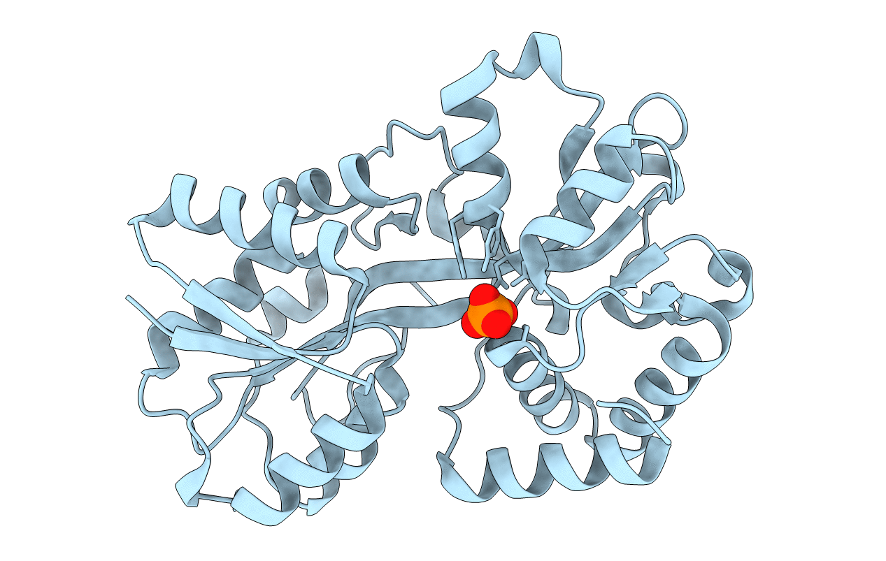 1D9V image