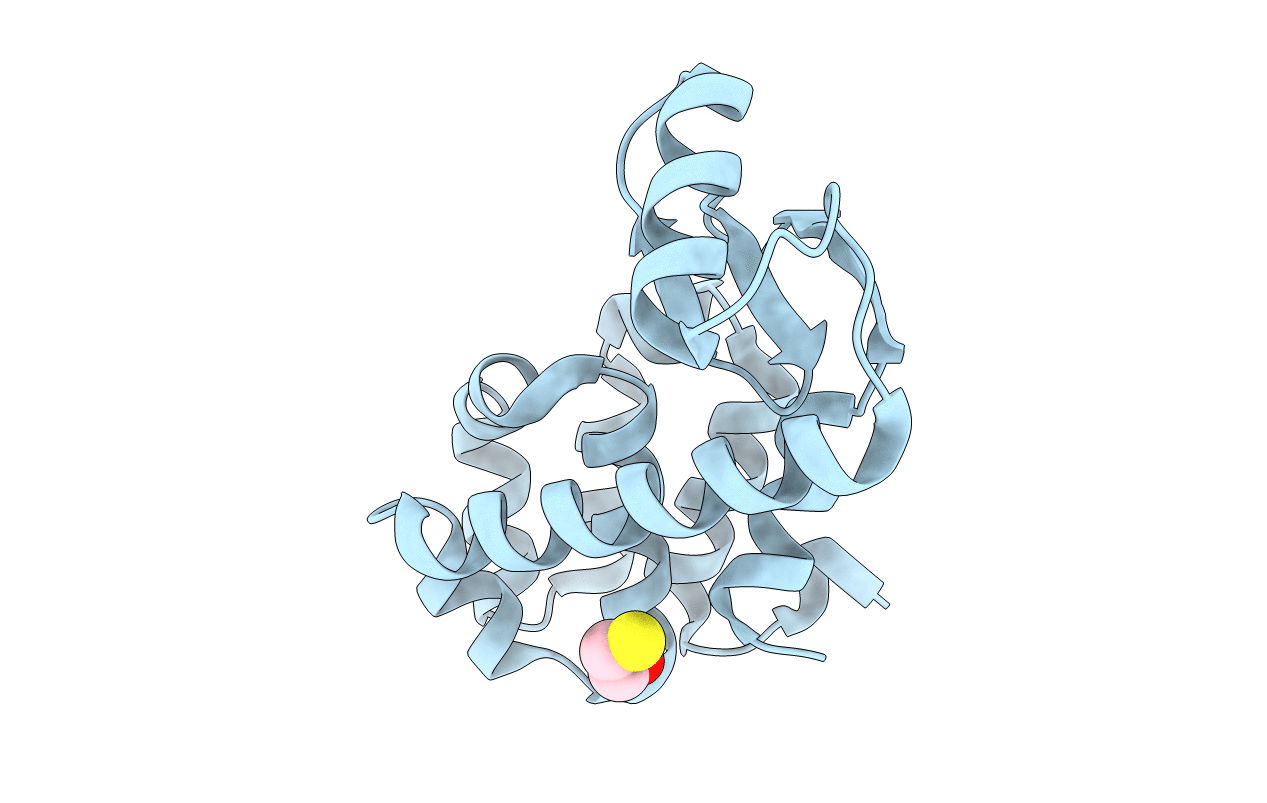 1D9W image