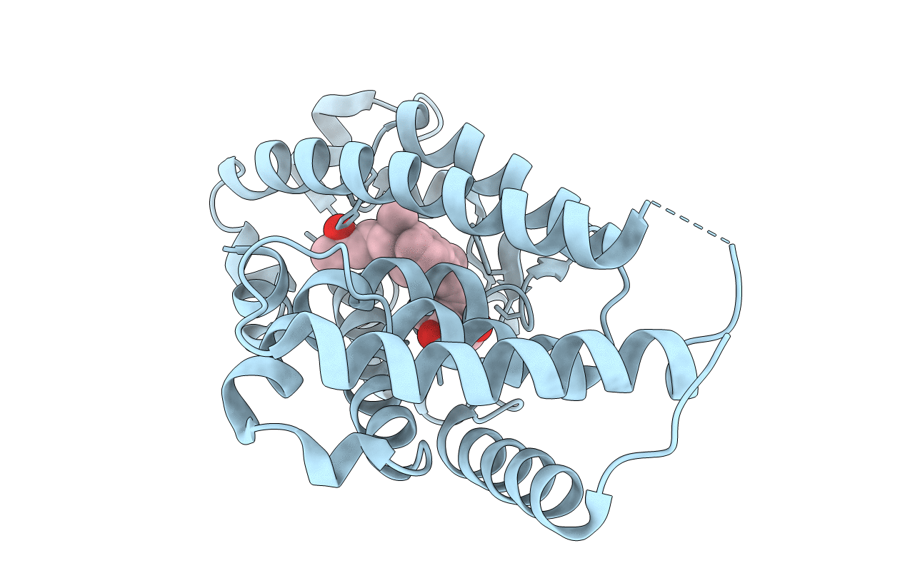 1DB1 image