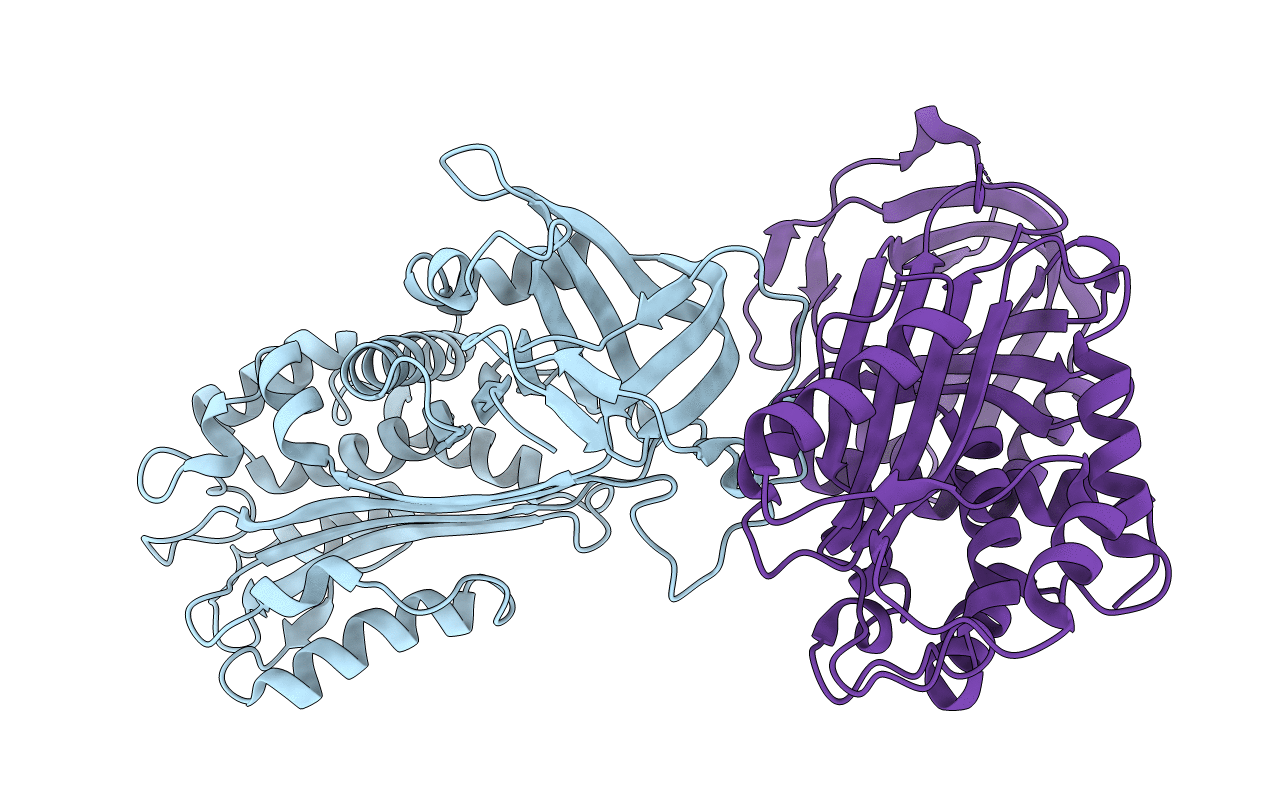 1DB2 image