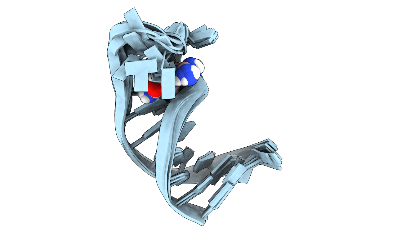 1DB6 image