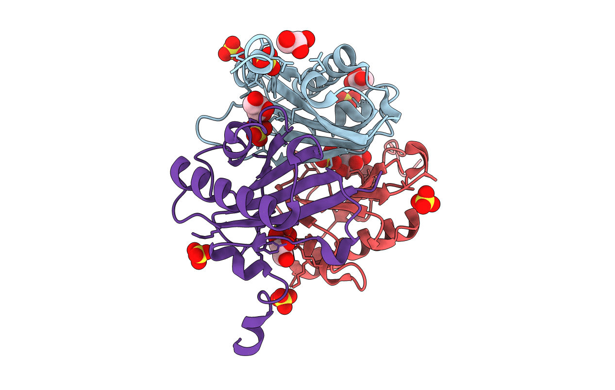 1DBF image