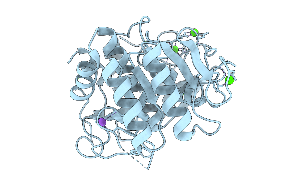 1DBI image
