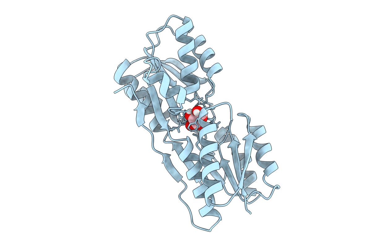 1DBP image