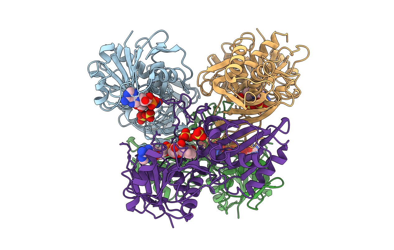 1DBV image