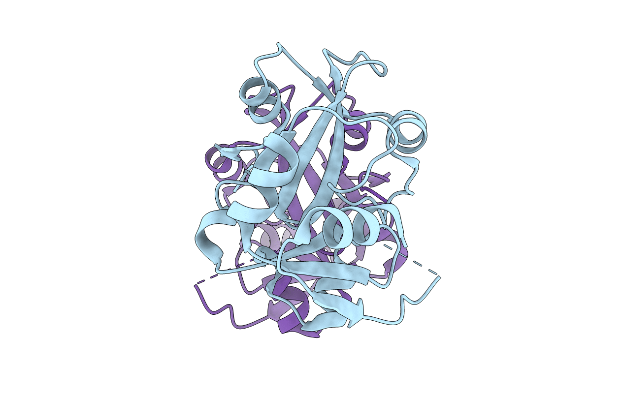 1DBX image