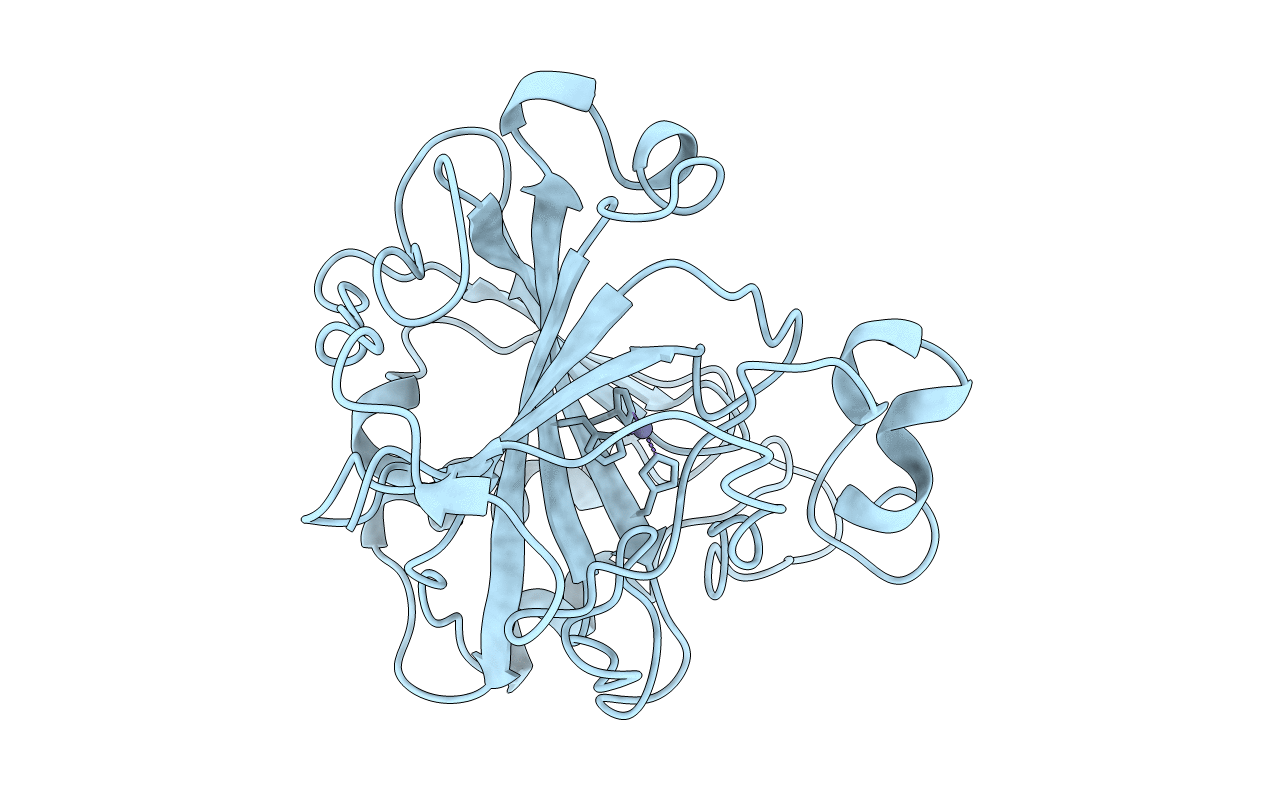 1DCB image