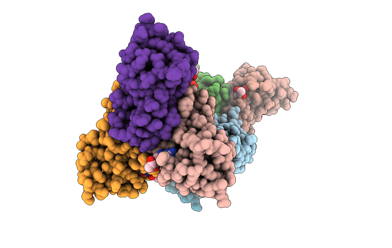 1DCP image