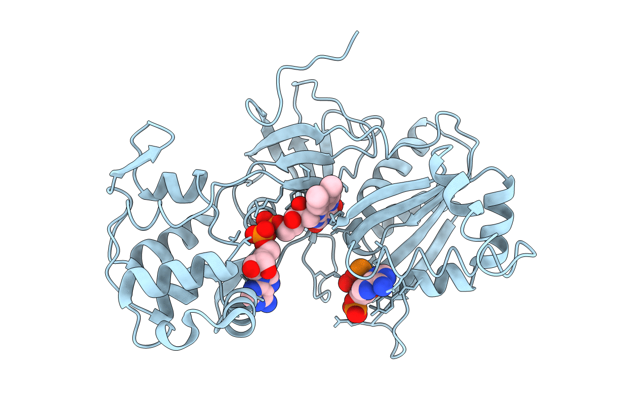 1DDI image