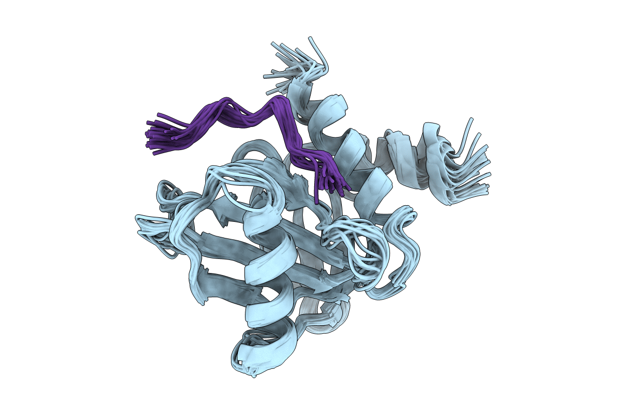 1DDM image