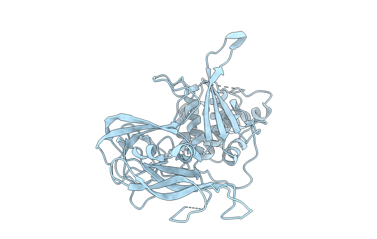 1DFA image